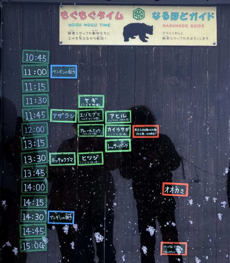 旭山動物園現地のイベント案内