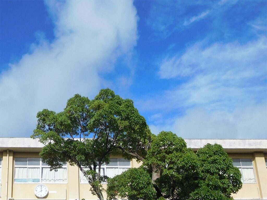 校舎と青空